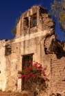 Colorful flowers in front of ruin of old fortress. San Miguel de Allende, Mexico. Art Print